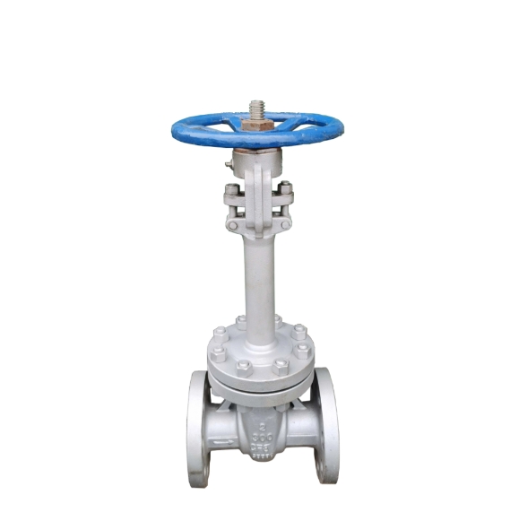 Kedu ihe bụ nhọrọ maka valves